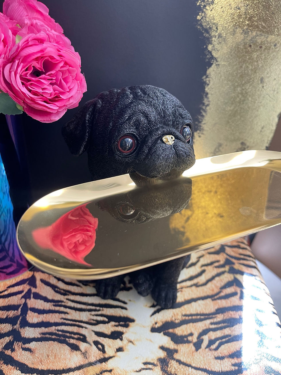 Thumbnail: Black and Gold Pug Dog Holding Tray 24cm