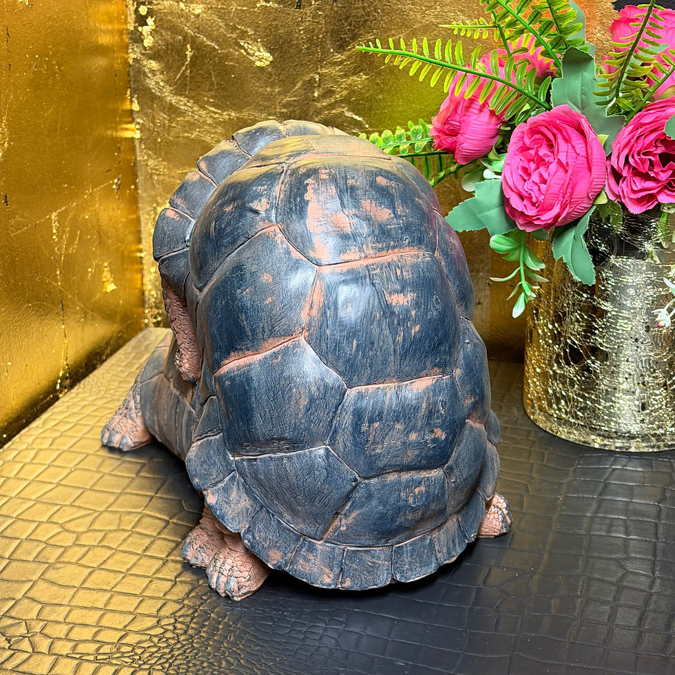 Thumbnail: "Happy" Tortoises Ornament Funny Cheeky Resin Figure