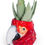 Thumbnail: Ceramic Red Macaw/Parrot Head Storage Jar/Vase