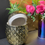 Thumbnail: Large Gold Ceramic Pineapple Storage Jar 30cm