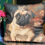 Thumbnail: Double Sided Queen King Pug Velour Cushion 45cm