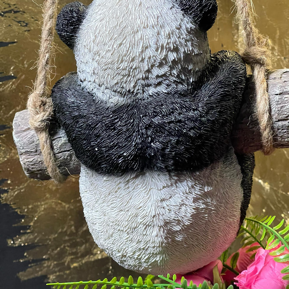 Thumbnail: Hanging on a Rope Baby Panda Bear