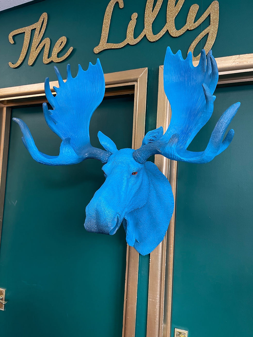 Thumbnail: Large Vibrant Blue Moose head Wall Hanging 80cm