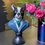 Thumbnail: Dressed Up Chihuahua or Pug Ornaments 