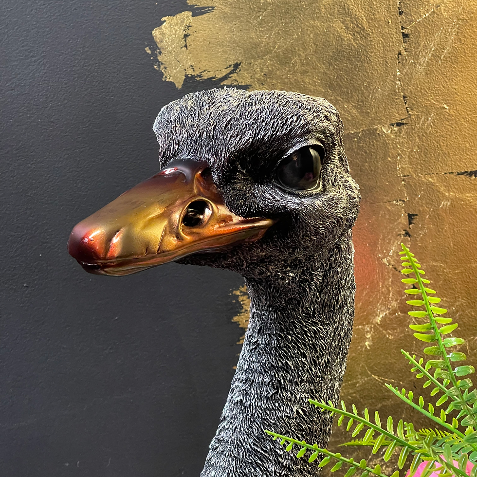Thumbnail: XXL Large Emu Ostrich Bust 48cm