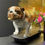 Thumbnail: Large Bulldog Dog on a Skateboard Ornament 46cm