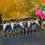 Thumbnail: Cream or Antique Silver Sheep Planter