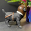 Thumbnail: Cute Black Labrador Dog Pilot Ornament 19cm