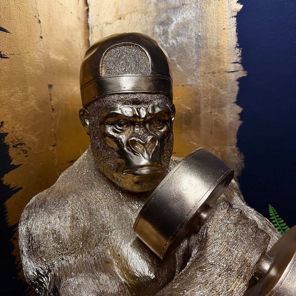 Thumbnail: XL Gorilla Bodybuilder Statue – Gold Coloured – 61.5 cm High