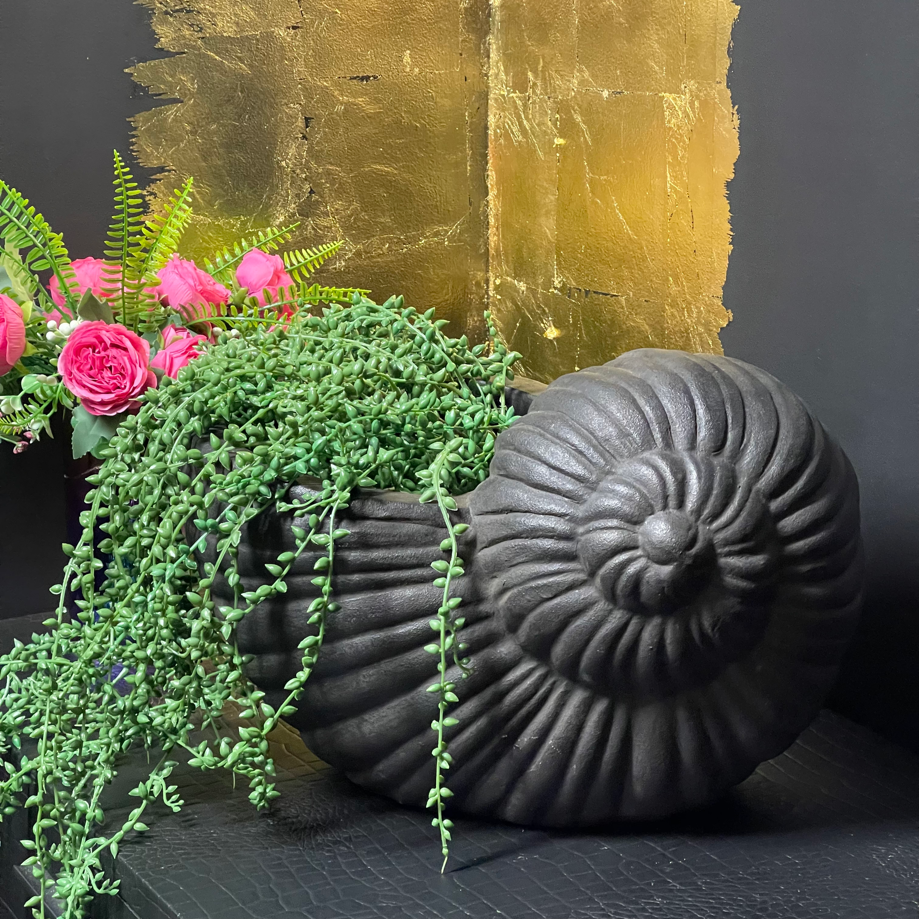 Large Black Sea Snail Shell Heavy Planter 45cm