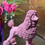 Thumbnail: Baby Pink Standing Poodle Ornament 26cm