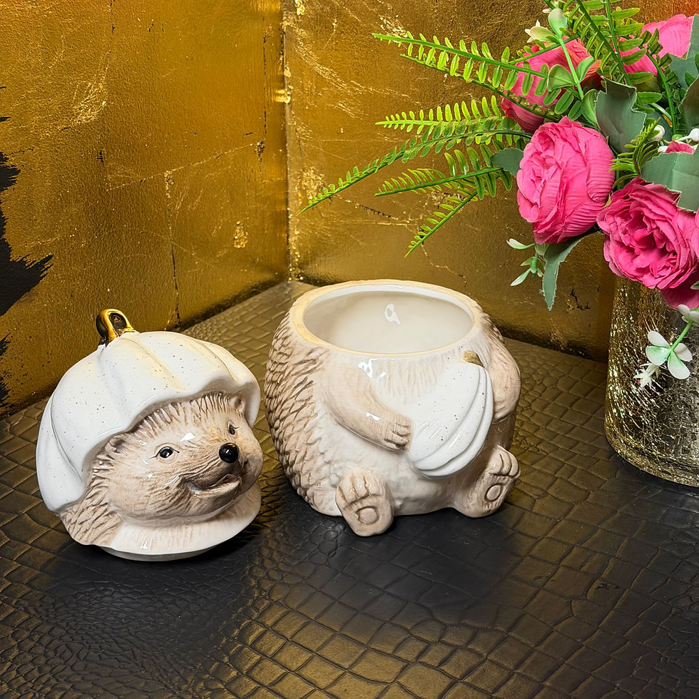 Thumbnail: Hedgin Hedgehog Storage Jar 🦔