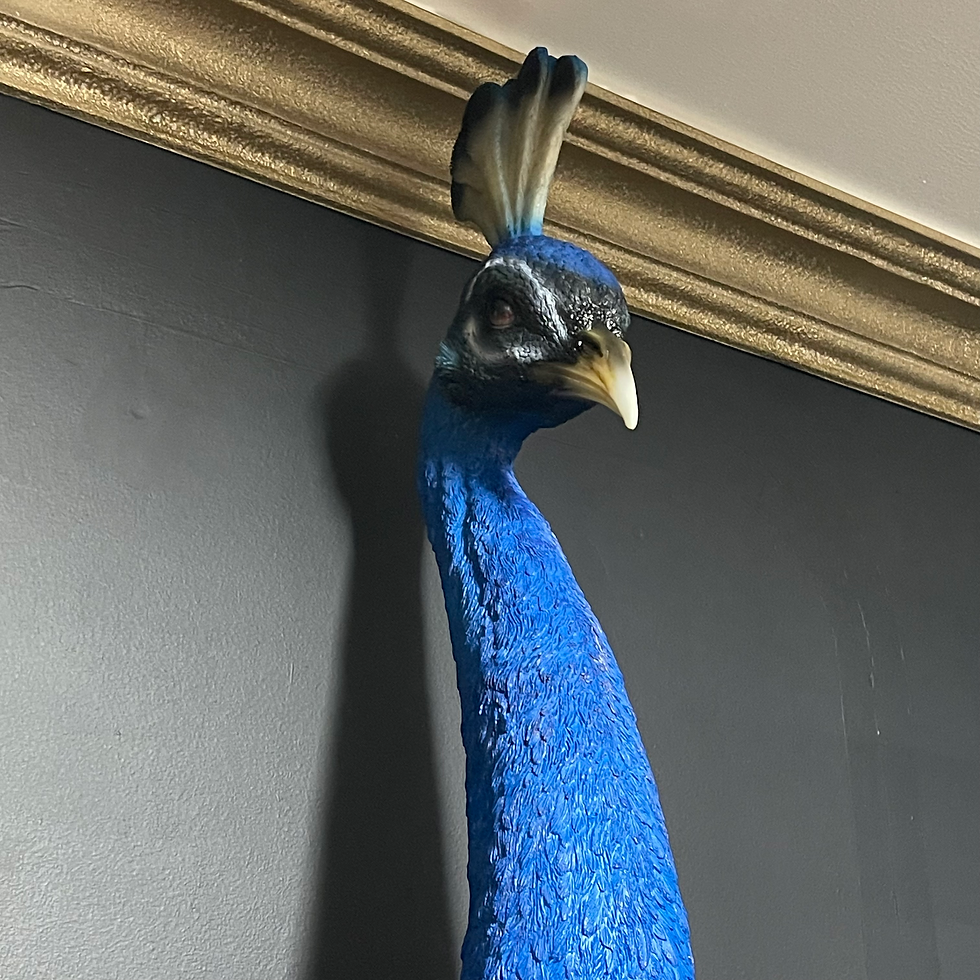 Thumbnail: Stunning Male Peacock Head Wall Art 68cm