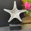 Thumbnail: Polystone Starfish & Shells on Wooden base each