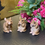 Thumbnail: Set of 3 Speak Hear See No Evil Mice