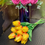 Thumbnail: Bunch of 10 Real Touch Artificial Tulips assorted colours 