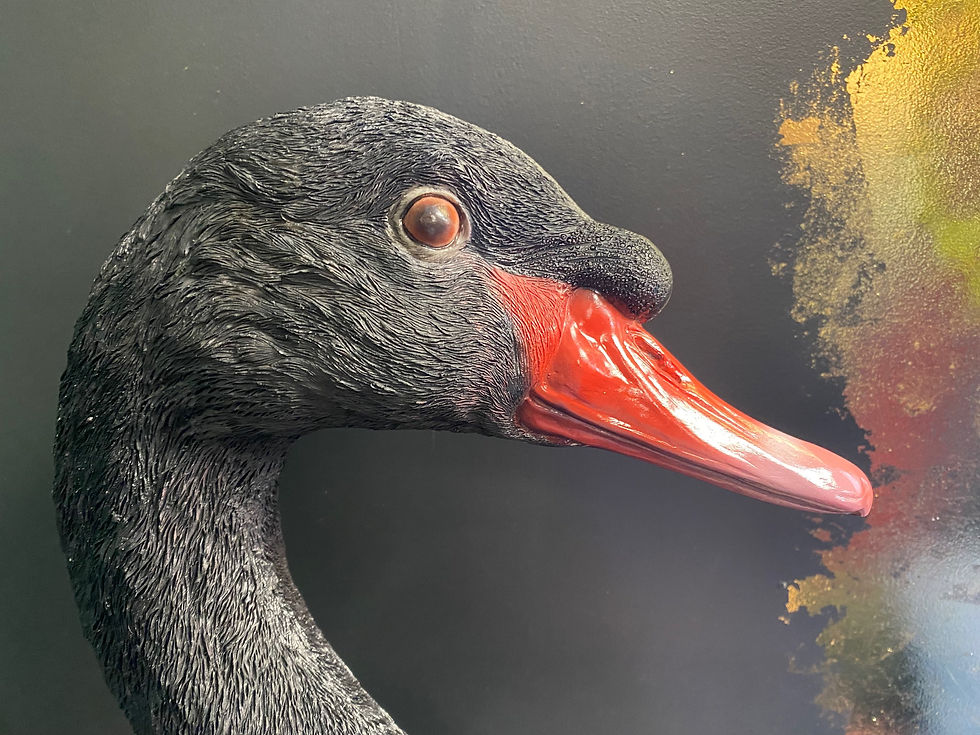 Thumbnail: 57.5cm Black Swan Head Wall Figure