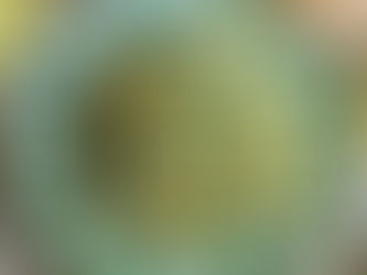 tortellini met groenten 