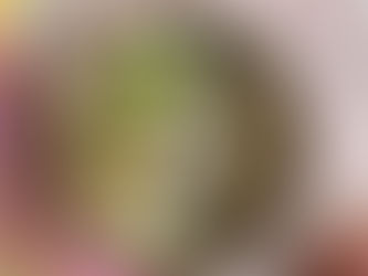 Ontbijtbowl met gebakken perzik 