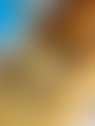 Vanille chocolate chip cake met skyr 