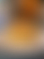 Gezondere mac chicken & waffle