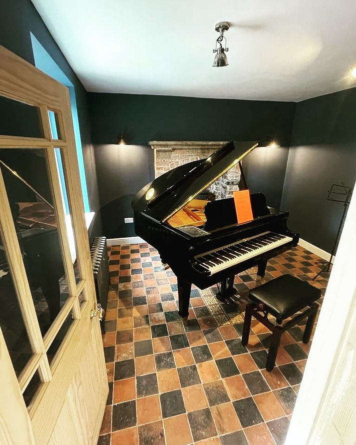Newly designed and built piano room