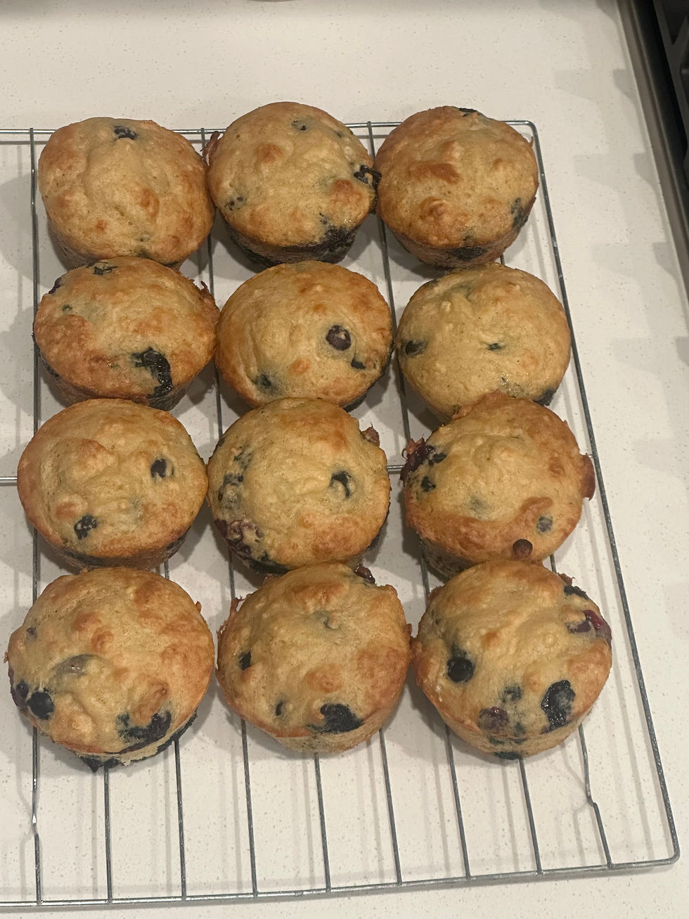 Blueberry Protein Muffins