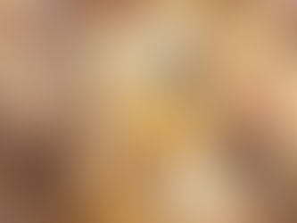 Honey Garlic Chicken