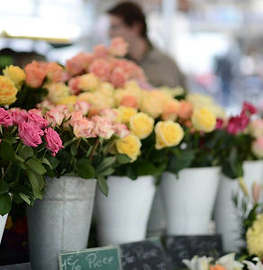marché aux fleurs de chartres