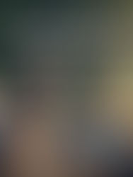 The New Era of Biological Wealth: Longevity as the Ultimate Family Legacy