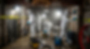 Why Your Property Deserves Expert Mold Remediation