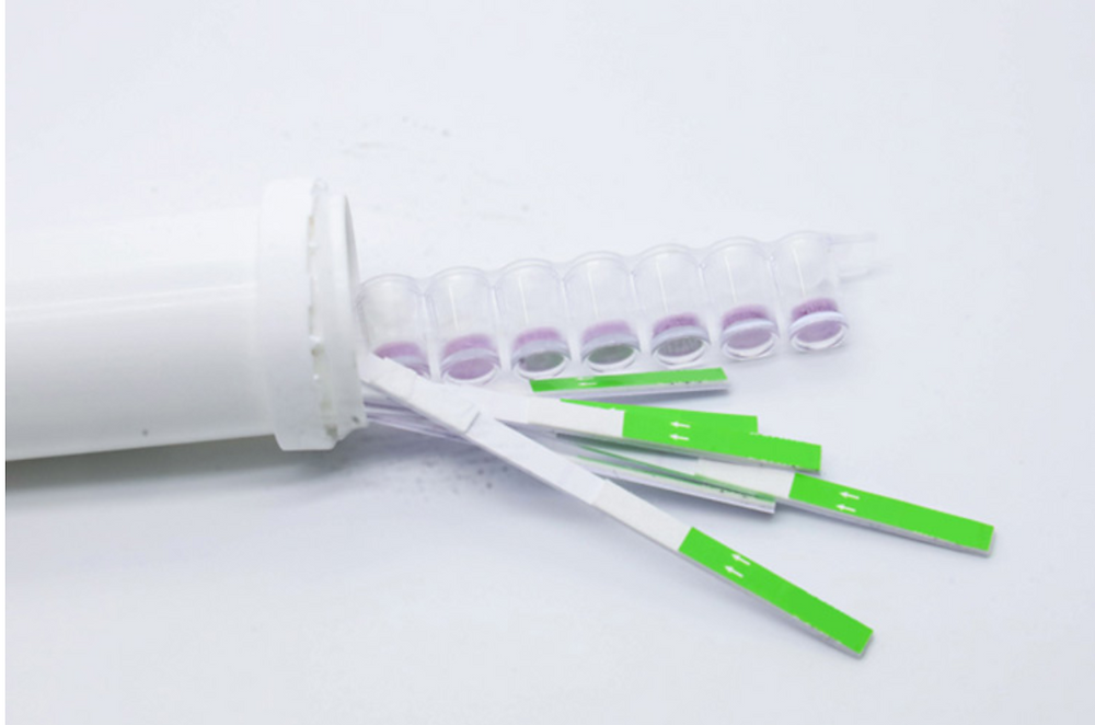 Fbbb Test Heavy Metal Test Kit: Complete Guide to Detection, Uses, and Accuracy