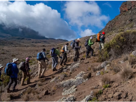 Kilimanjaro Routes Compared: Difficulty, Scenery, Crowds and Duration