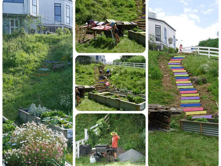 SEG working bee revamps community therapy garden