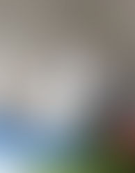 Rabbit Liver Lobe Torsion Emergency Surgery for Queens Patient at Long Island Bird & Exotics Veterinary Clinic