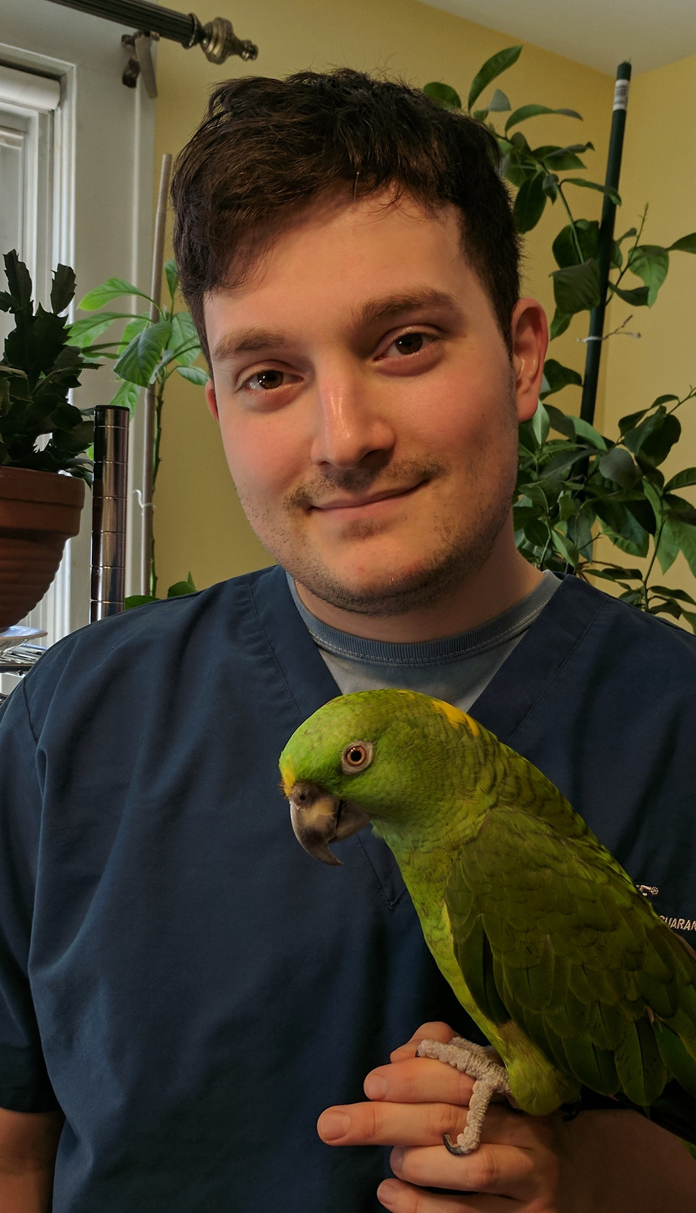 Veterinary assistant holding parrot and Avian and Exotic Pet Vet