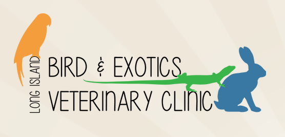 Logo | Long Island Bird and Exotic Pet Vet