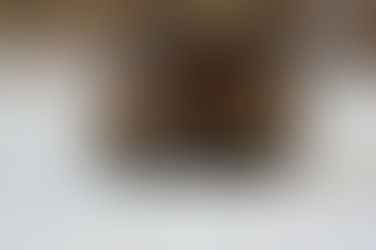 Most Common Health Concerns - Ball Python