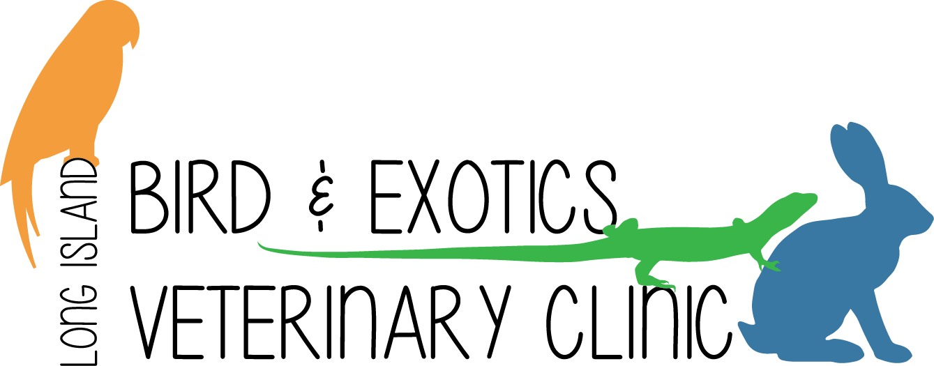 Long Island Bird & Exotics Veterinary Clinic logo