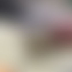 Guinea Pig Spay and Bladder Stone Surgery for Brooklyn Patient at Long Island Bird & Exotics Veterinary Clinic