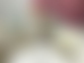 Green Iguana Cystotomy (Bladder Stone Removal) for Queens Patient at Long Island Bird & Exotics Veterinary Clinic