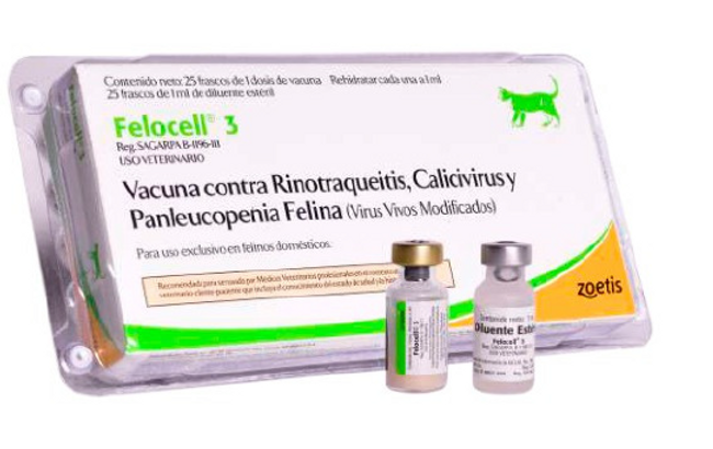 INDICACIONES
Para la vacunación de gatos sanos como una ayuda en la prevención de la Rinotraqueítis Viral Felina causada por el Virus Herpes Felino-1, la enfermedad respiratoria causada por el Calicivirus Felino y la Panleucopenia Felina causada por el Parvovirus Felino.