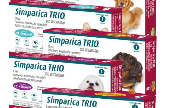 Ectoparásitos:
- Para el tratamiento y control de infestaciones de garrapatas: Simparica TRIO® tiene una acción inmediata y persistente contra las garrapatas, durante al menos 5 semanas contra: Amblyomma americanum, Amblyomma cajennense, Ixodes hexagonus, Ixodes holocyclus, Ixodes ricinus, Ixodes scapularis, Haemaphysalis longicornis, Rhipicephalus sanguineus y al menos 4 semanas contra: Amblyomma maculatum, Dermacentor variabilis, Dermacentor reticulatus.
- Para el tratamiento de infestaciones de pulgas adultas: Simparica TRIO® tiene una acción inmediata y persistente durante al menos 5 semanas contra: Ctenocephalides felis y Ctenocephalides canis. Simparica TRIO® puede usarse como parte del tratamiento de la dermatitis alérgica por picadura de pulga (DAPP).
Nemátodos gastrointestinales:
- Para el tratamiento y control de infecciones por ascárides y anquilostomas gastrointestinales: Toxocara canis adultos inmaduros (L5) y adultos; Ancylostoma caninum larvas L4, adultos inmaduros (L5) y adultos; Toxascaris leonina adultos y Uncinaria stenocephala adultos.
Otros nemátodos:
- Para la prevención de la Dirofilariosis o enfermedad del gusano del corazón causada por Dirofilaria immitis.
Nota: El programa de desparasitación podrá variar dependiendo de la región, la temporada, edad o el ciclo de cada parásito, por lo que es muy importante que el Médico Veterinario realice un examen clínico adecuado y considere análisis de laboratorio.