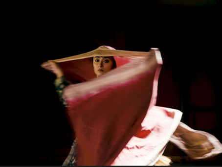 The Veil of Janki Bai 