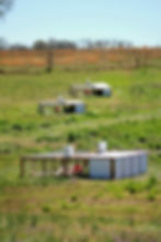 Thumbnail: Breakaway Pastures Mobile Broiler Chicken Shelter Guide