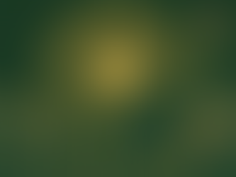 KURDISTAN: BİLİNCİN DEVLETİ