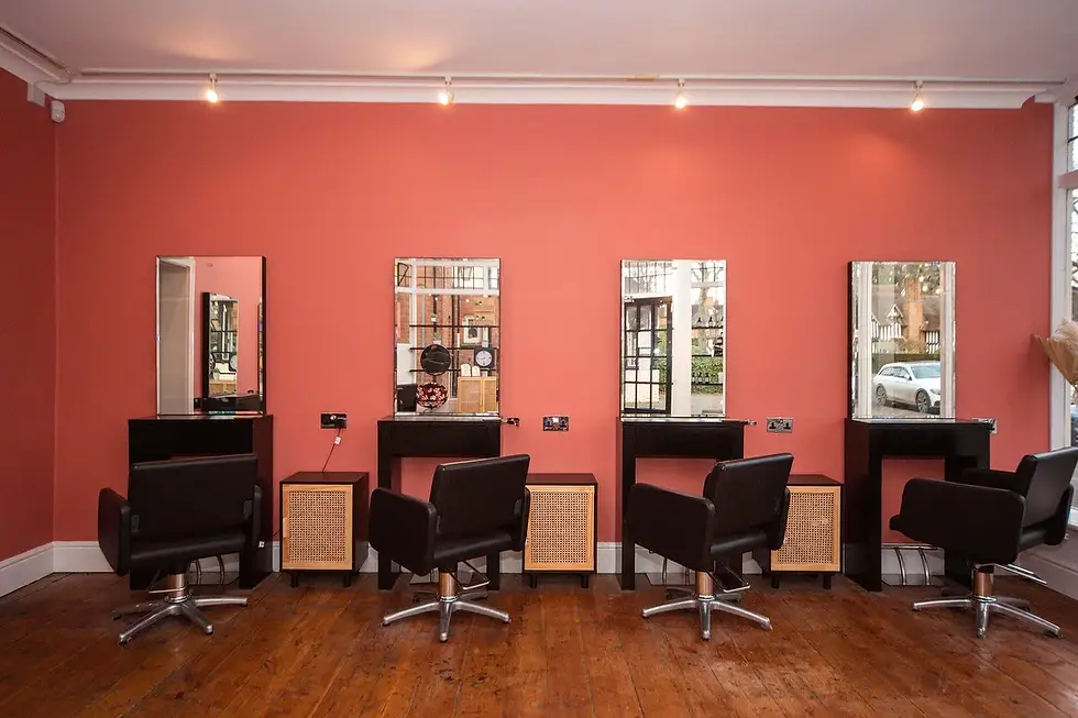 Newbury St Salons Boston