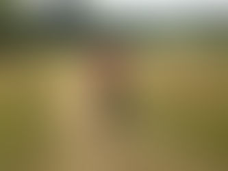 TNR on Thursday TOO!!