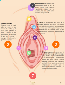 Captura de pantalla 2025-01-18 180340