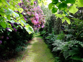 A path at Geilston Gardens on day out from Appletree Cottage
